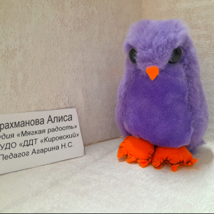 Голубь сизый