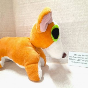 Щенок породы Корги