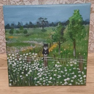 Полевой кот