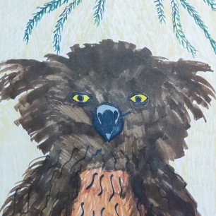 Рыбный филин - самая большая сова в мире. Курильский государственный природный заповедник