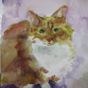 Мой пушистый друг