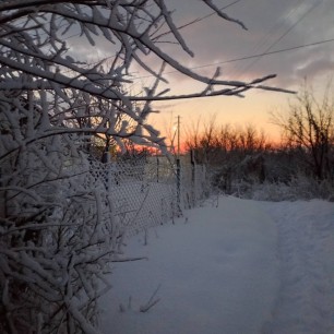 Снежное утро
