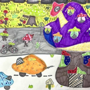 «Мир грибов»