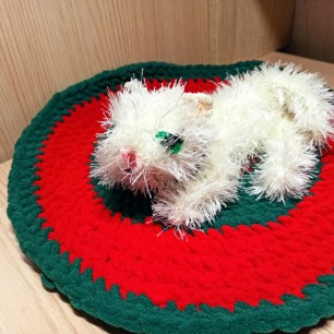 "Котик"