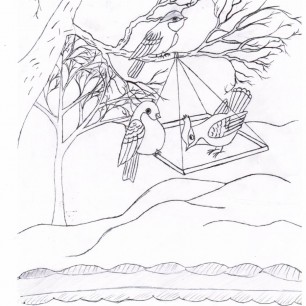 Покормите птиц зимой!