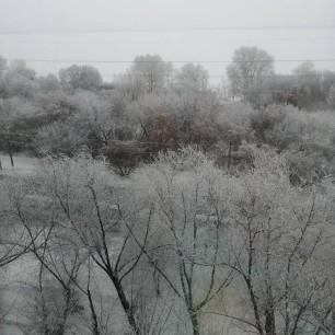 Зимнее утро