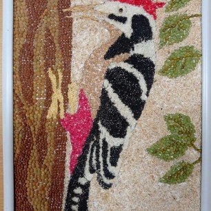 Лесной доктор Дятел