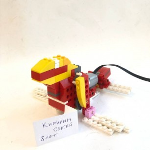 Морской котик