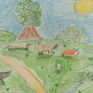 Такие разные собачки!