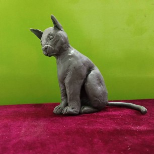 Задуманная кошка