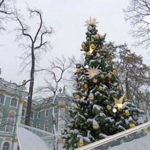 Эрмитажная ель 2024