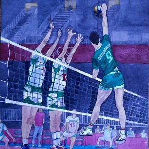 Волейболисты