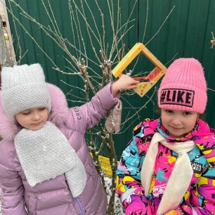 "Моя кормушка"