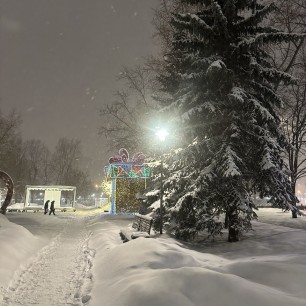 Зимнее чудо