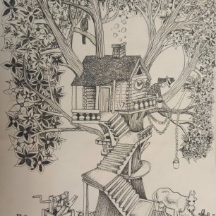 Мальчик и птица