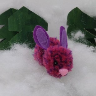 Сливовый зайка заблудился