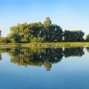 Зеркало природы