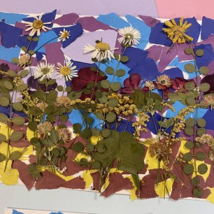 Просторы красоты