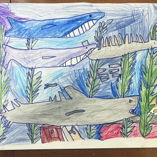 Морские чудеса