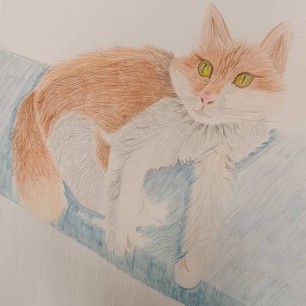 Любимая кошка Маруся