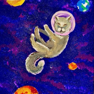 Космический кот