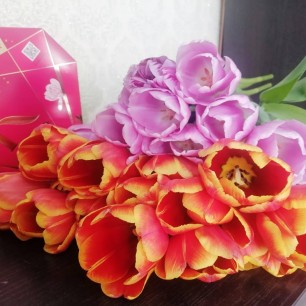 "Тюльпановое настроение"