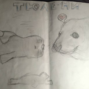 Тюлени