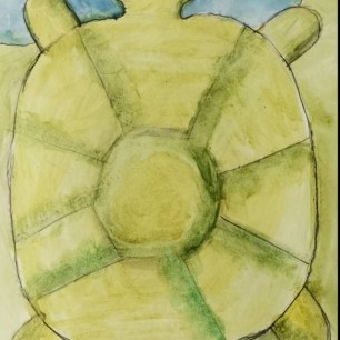 Моя Тортилла