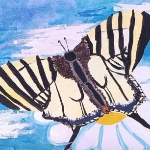 Махаон Маака