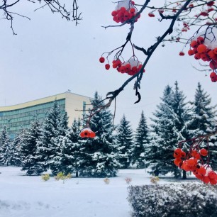 «Сердце» Новокузнецка