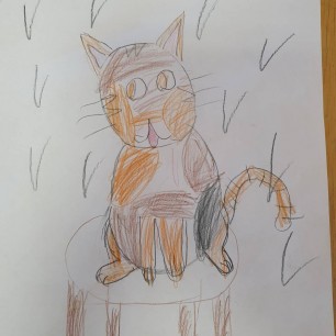 Котик