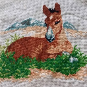 Лошадь в горах