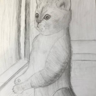Удивлённый котик!