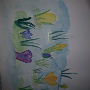 Первоцветы