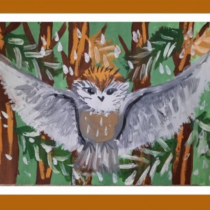 "Красавица сова"