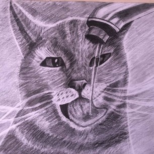Кот