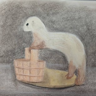 Хорек
