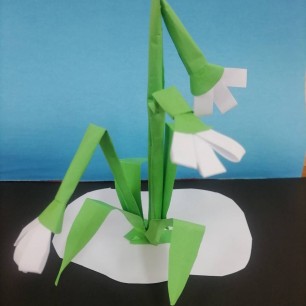 Первые цветы