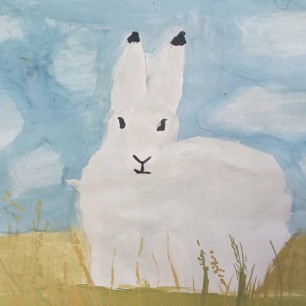 Заяц-беляк в степи