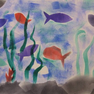 Удивительный мир рыб