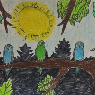 "Попугайчики"