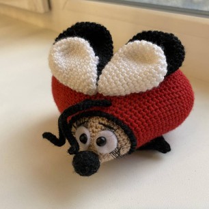 Божья коровка