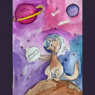 Собака хочет косточку