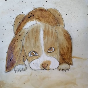 "Мой дружок"