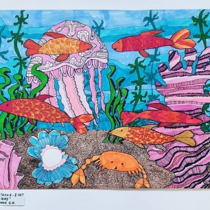 Подводный мир