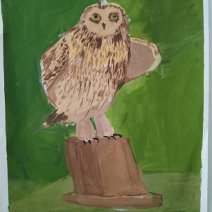 Сова на пне