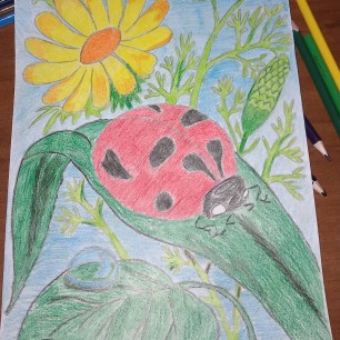 Божья коровка на природе