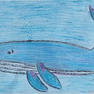 Красавец морей