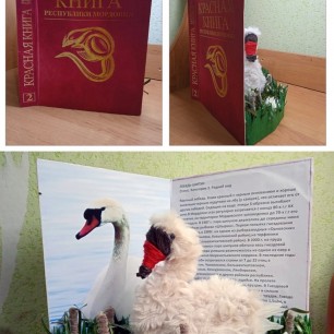Красная книга Республике Мордовия