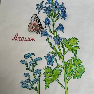 По страницам Красной книги